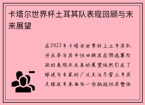卡塔尔世界杯土耳其队表现回顾与未来展望