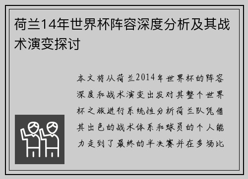 荷兰14年世界杯阵容深度分析及其战术演变探讨