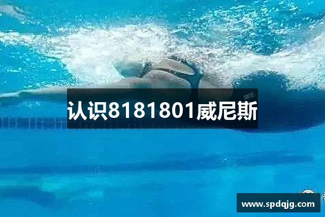 认识8181801威尼斯